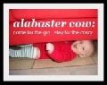 alabaster cow alabaster cow