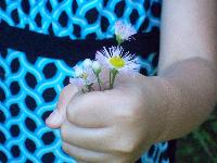 Grace For Mom
