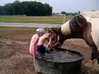 Knitting, horses, and my family