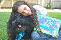 Smart Poodle Publishing Blog
