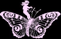 The Butrfly Garden