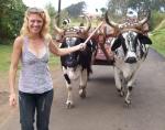 Travel Experta- All You Need to Know About Traveling in Central America!