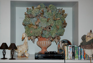 tt-driedflower-320.jpg