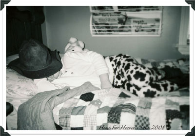 sleepingangel20 Sleeping Angel 20 Beverly