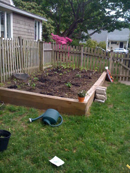 tackle-it-tuesday-garden