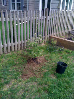 tackle-it-tuesday-garden