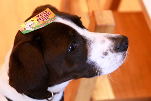 AJ with sticker Potty Training Chart and Stickers