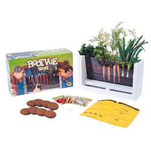rootvuefarm