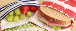 Thumbnail image for Lunchskins Reusable Baggies Review and Giveaway