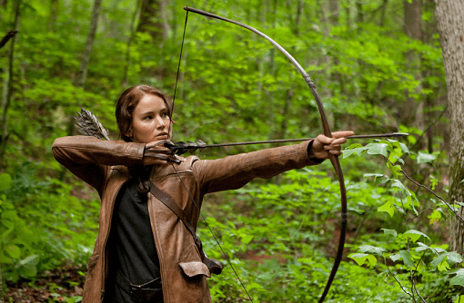 HungerGames_Im11