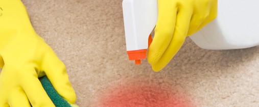 Thumbnail image for When Carpet Cleaning is Not Your Favorite Thing in the World