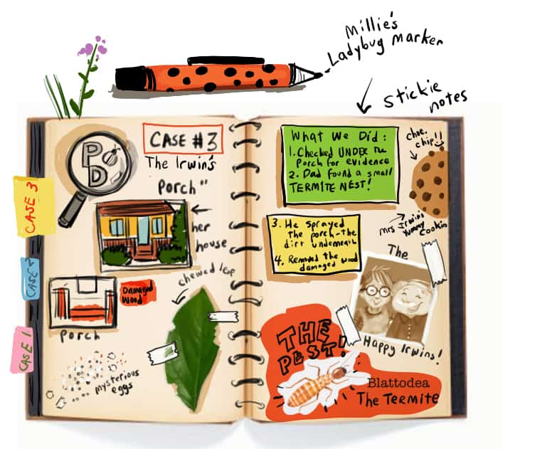 Rough Sketches for PEST DETECTIVES