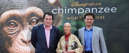 Thumbnail image for Disneynature’s Chimpanzee Red Carpet Premiere and Movie Review