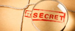 Thumbnail image for Susan’s Secret Project Revealed…