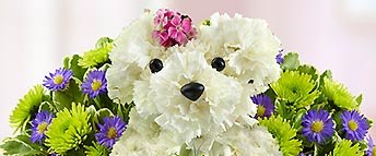 Thumbnail image for Mother’s Day Giveaway 2012, 1-800-FLOWERS.COM $50 Gift Card