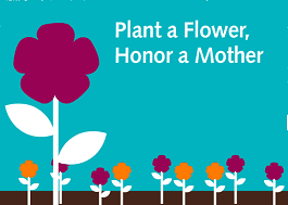 Thumbnail image for Plant a Flower, Honor a Mother