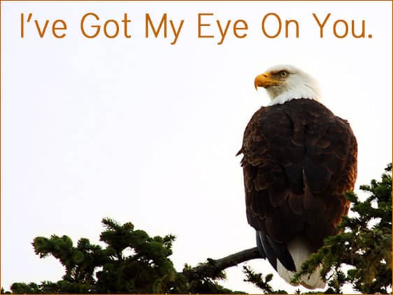 Got My Eye On You Got My Eye On You