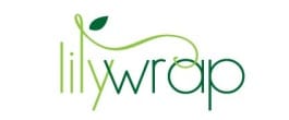 Thumbnail image for Lovely, Eco-Friendly Gift Wrap from lilywrap (Review & Giveaway)