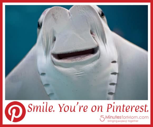 smile-youre-on-pinterest