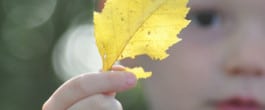 Thumbnail image for 5 Tips For Great Fall Photos