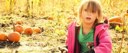 Thumbnail image for Wordless Wednesday — Pumpkin Patch