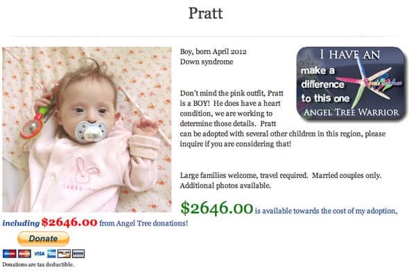 Pratt-Profile