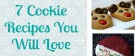 Thumbnail image for 7 Cookie Recipes You Will Love (With Recipe Linky)