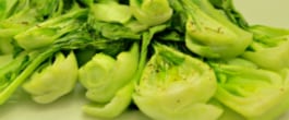 Thumbnail image for Roasted Baby Bok Choy with Garlic Salt (With Recipe Linky)