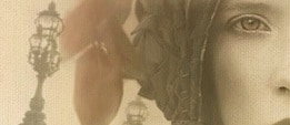 Thumbnail image for Where the Light Falls {Book Review and Giveaway}