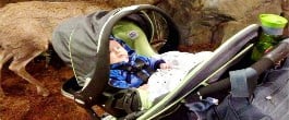 Thumbnail image for On the Go with the Evenflo JourneyLite™ Embrace™ Travel System