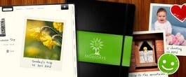 Thumbnail image for Managing your Days Efficiently with Moredays