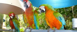 Thumbnail image for 3 Places You Need to See in Miami