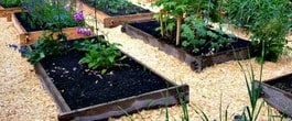 Thumbnail image for Tackle it Tuesday- Tackling a Spring Garden
