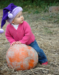 Pumpkin Patch