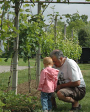 Picking Berries