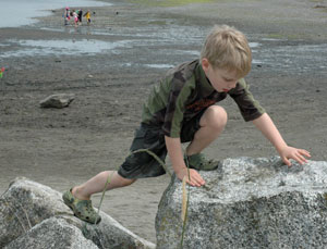 An Afternoon at the Beach…