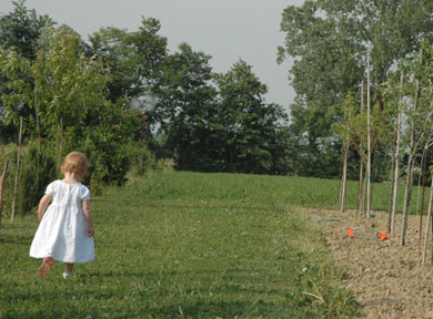 Walking by Field