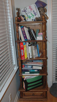 tt-thinbookshelf-before.jpg