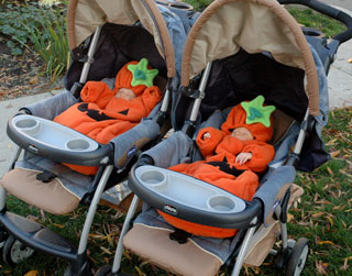 chicco-pumpkins.jpg