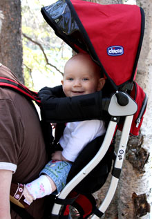 chicco hiking carrier red