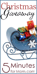 Christmas Giveaway Sleigh 120x240