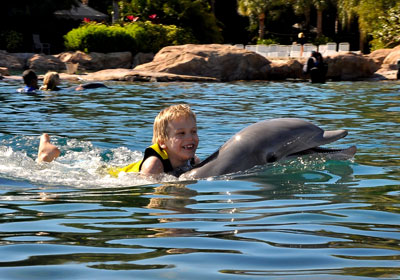 Wordless Wednesday — Discovery Cove