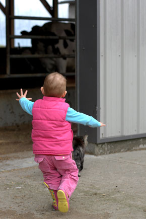 Wordless Wednesday — Toddler Chasing Cat