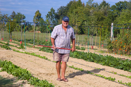 Nonno In His Garden