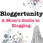 bloggertunity