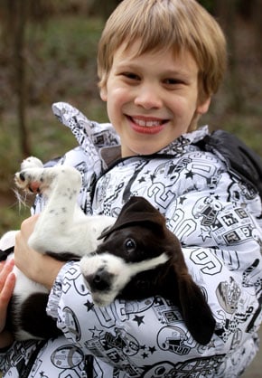 a boy and his dog