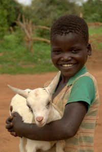 world-vision-goat