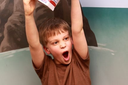 Jacksons 8th Birthday Jacksons 8th Birthday