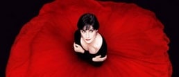 The Very Best of Enya releases to CD & DVD
