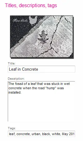 leaf